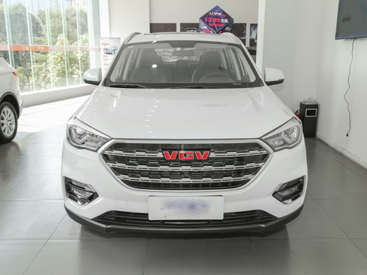 مخزن سوخت 55 لیتری سفید ماشین 7 نفره SINOTRUK VGV دستی دستی SUV 175 کیلومتر بر ساعت