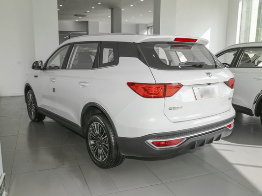 مخزن سوخت 55 لیتری سفید ماشین 7 نفره SINOTRUK VGV دستی دستی SUV 175 کیلومتر بر ساعت