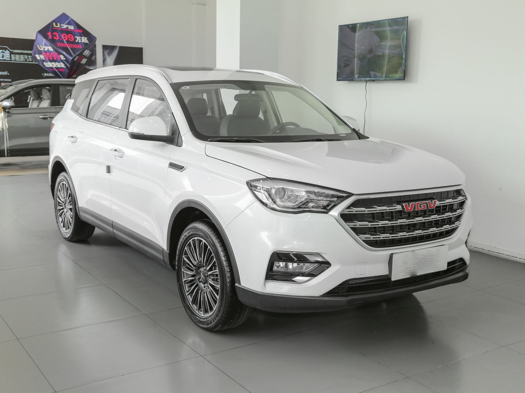 مخزن سوخت 55 لیتری سفید ماشین 7 نفره SINOTRUK VGV دستی دستی SUV 175 کیلومتر بر ساعت